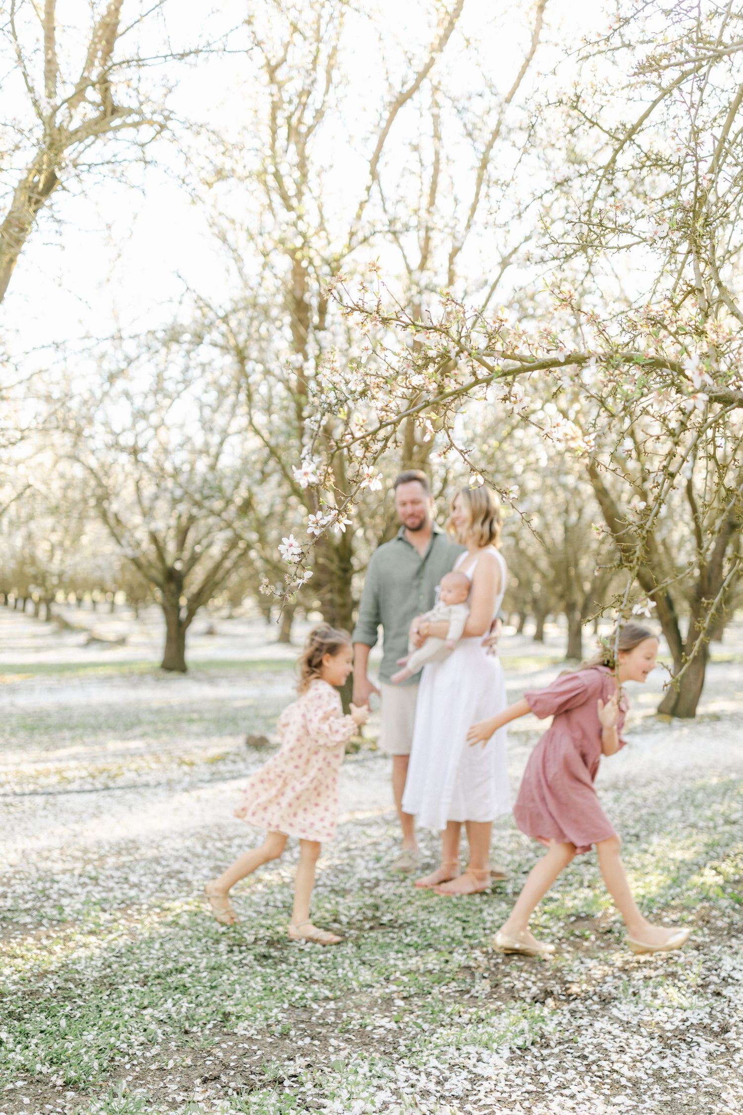 Family of four enjoying a sunny spring day among blooming almond trees, two girls twirling in floral dresses.