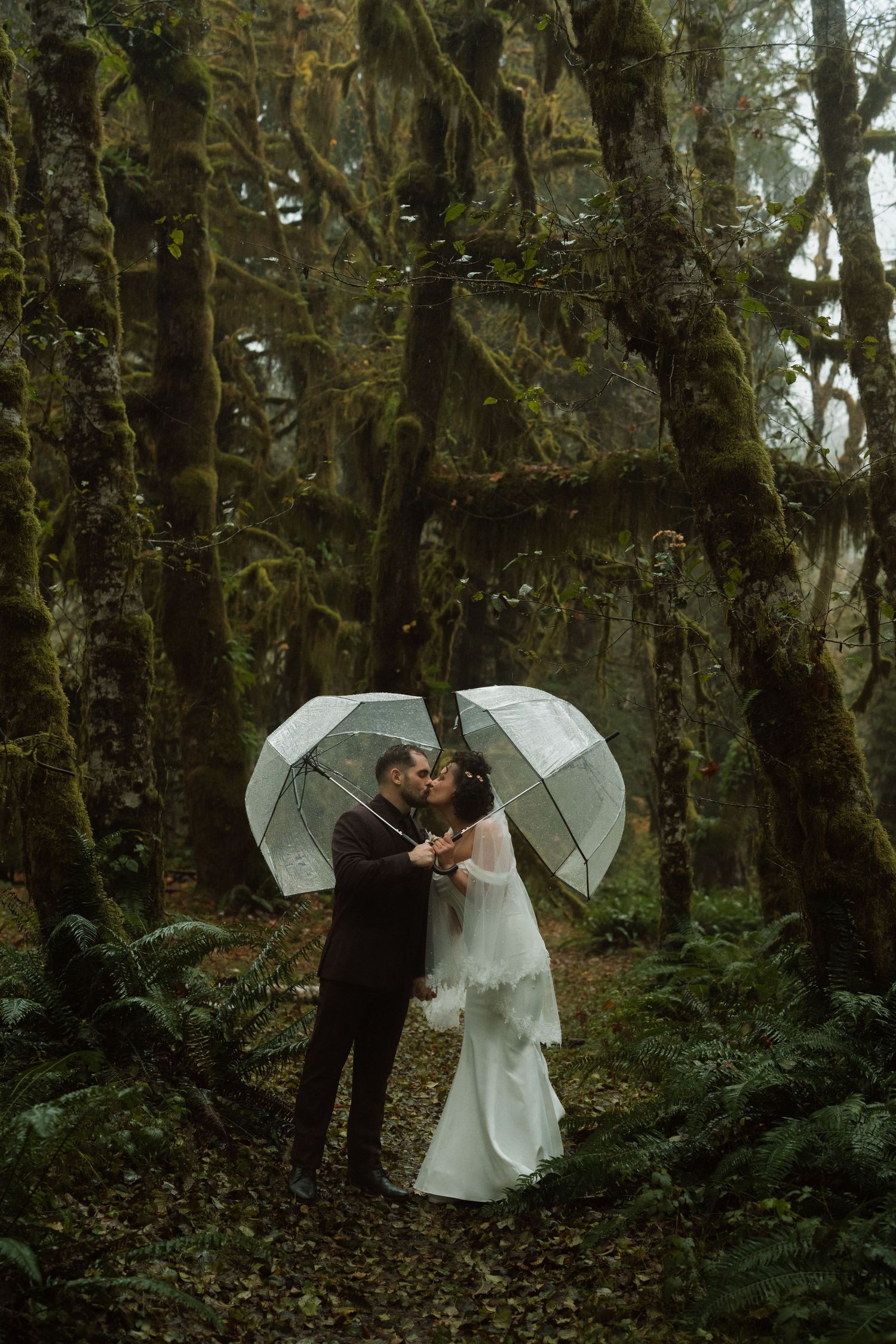 Bride and groom kissing under clear umbrellas in a mossy forest during their rainy woodland wedding elopement.