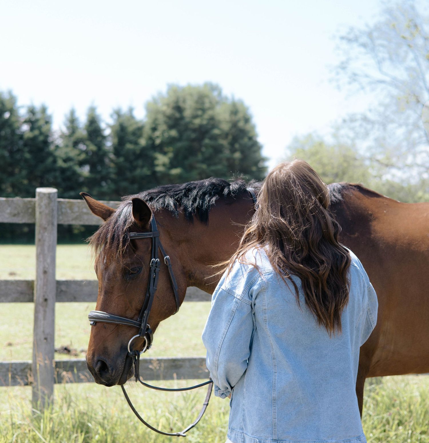A young woman with long brown hair stands beside a chestnut horse wearing a bridle in a green pasture.