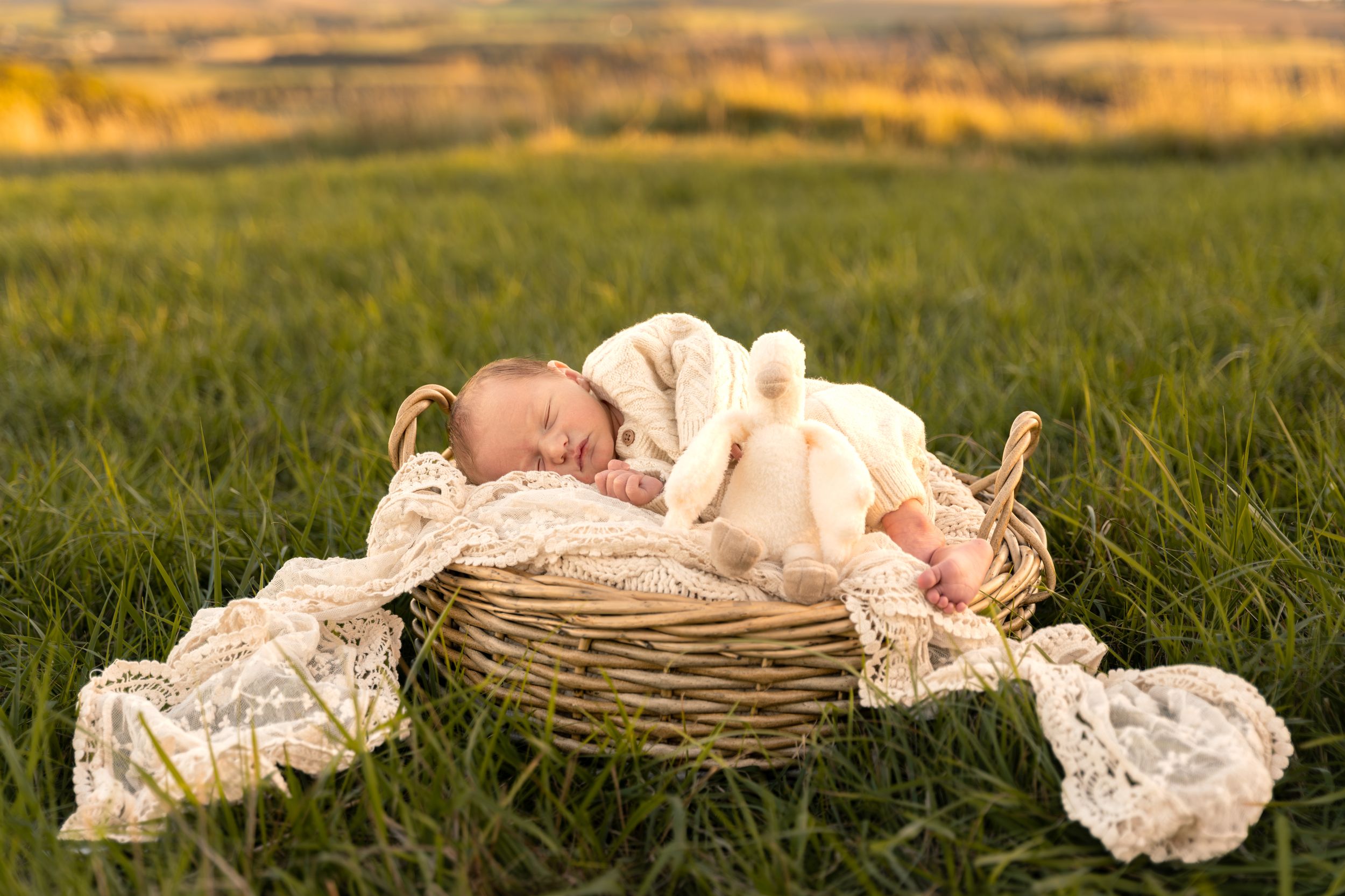 Newborn baby sleeping peacefully in a wicker basket with lace blanket in a lush green field at golden hour.