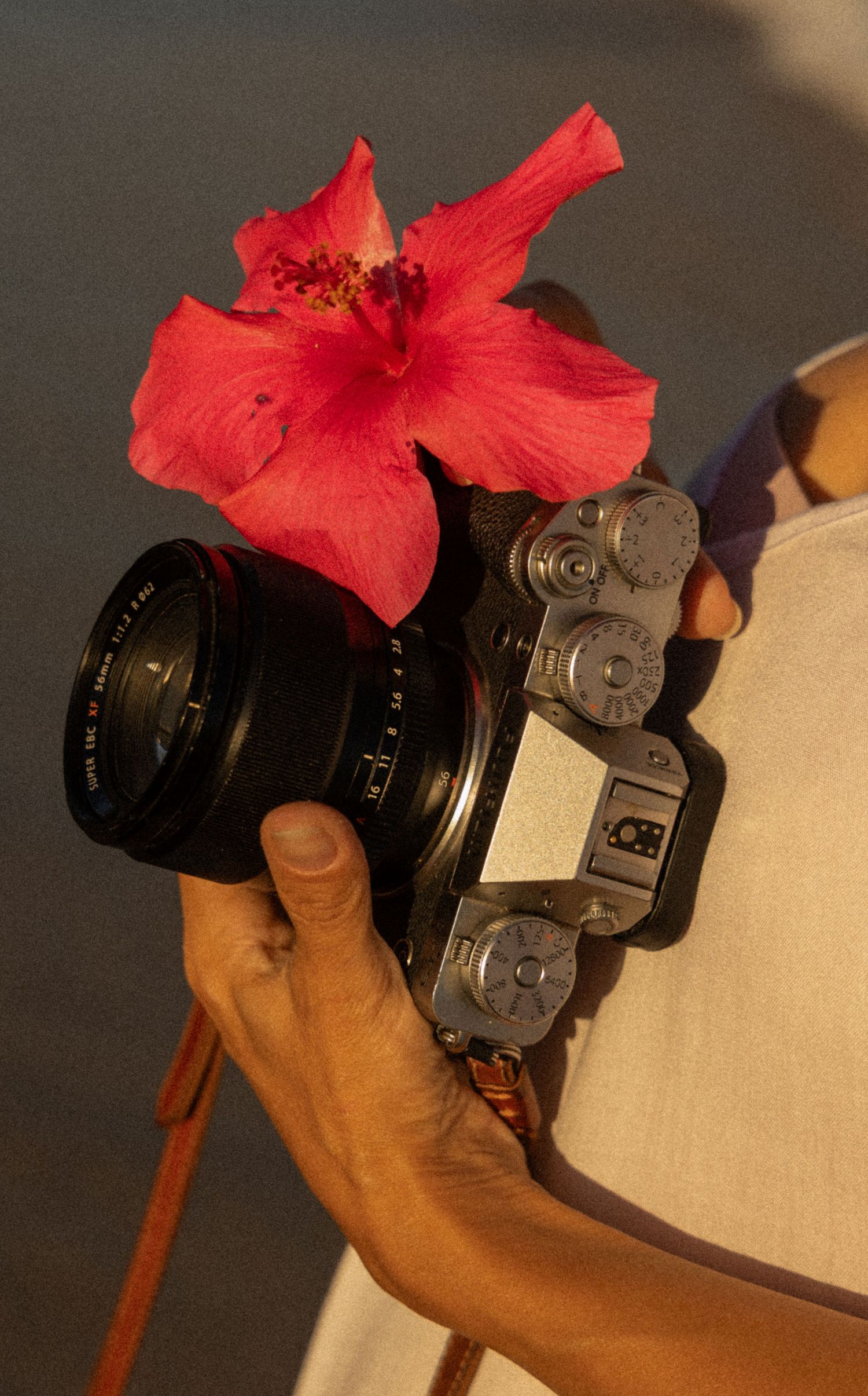 A hand holds a vintage Fujifilm camera with a vibrant red hibiscus flower resting on the lens on Oahu, Hawaii.