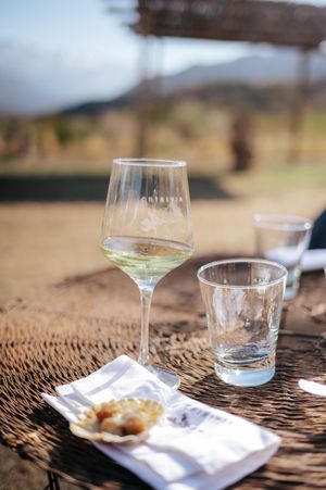 Glass of white wine and water glass on woven table with small appetizer in vineyard setting.