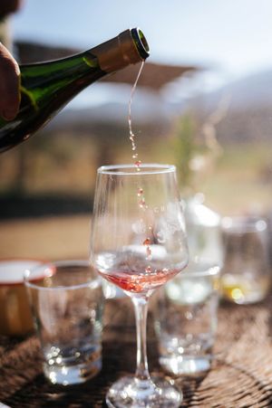 Rose wine being poured into elegant glass at outdoor tasting event with mountain backdrop.