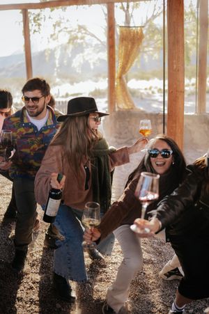 Group of friends dancing and toasting wine glasses at a sunny outdoor wine event.