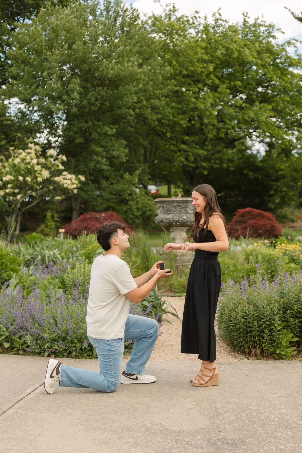 A proposal moment in a garden with blooming lavender and trees.