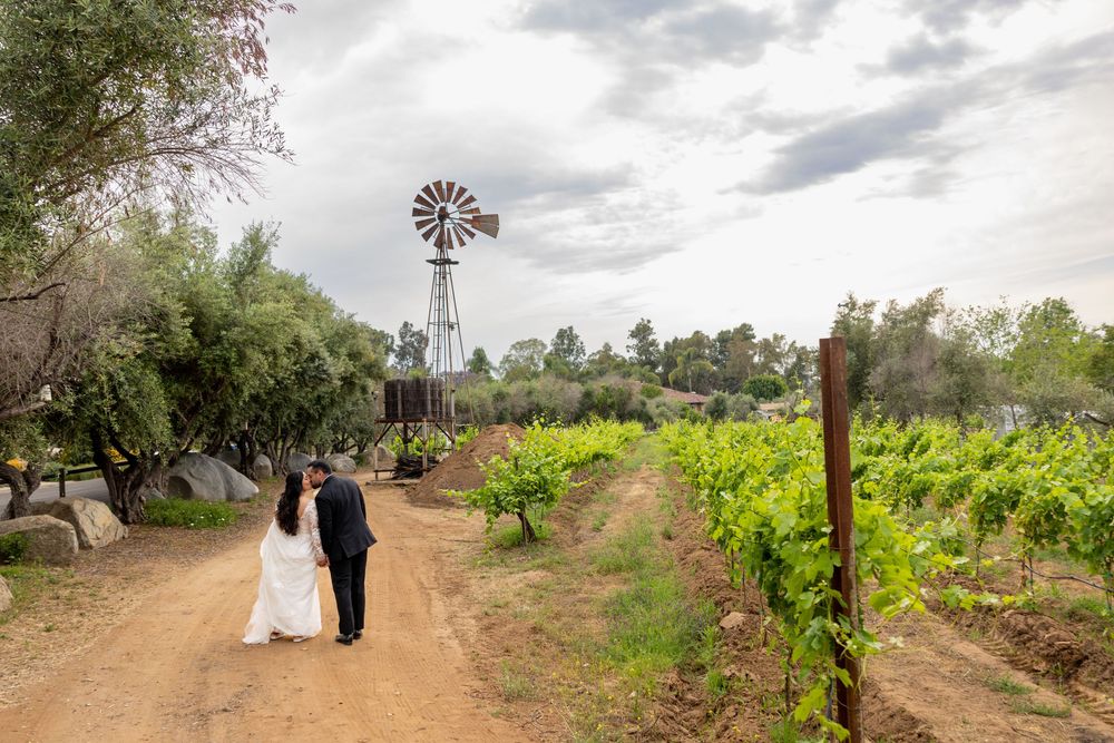 A scenic panorama shows a rustic windmill and farm landscape with green vines stretching across multiple frames.