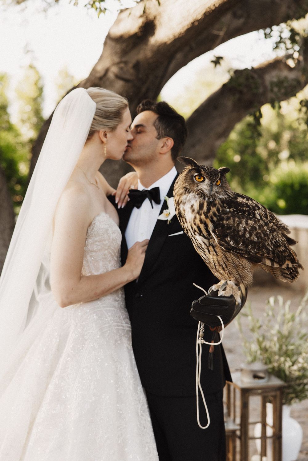 A romantic outdoor wedding scene featuring a couple with a large owl perched nearby during their special moment.