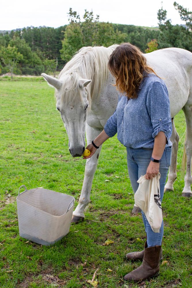 A woman with shoulder length brown hair standing in a paddock feeding a white horse an apple, a tall pine forest is in the background.