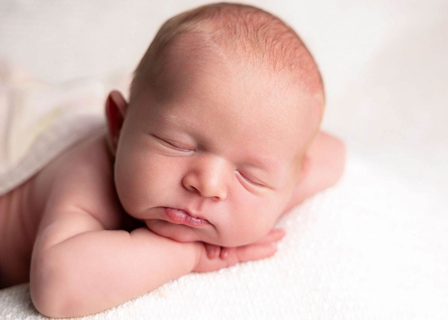 Best Knoxville Newborn Photographer