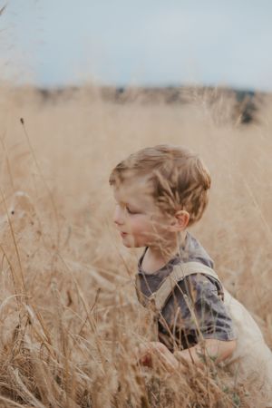 Child playing hide and seek in tall grass during golden hour.
