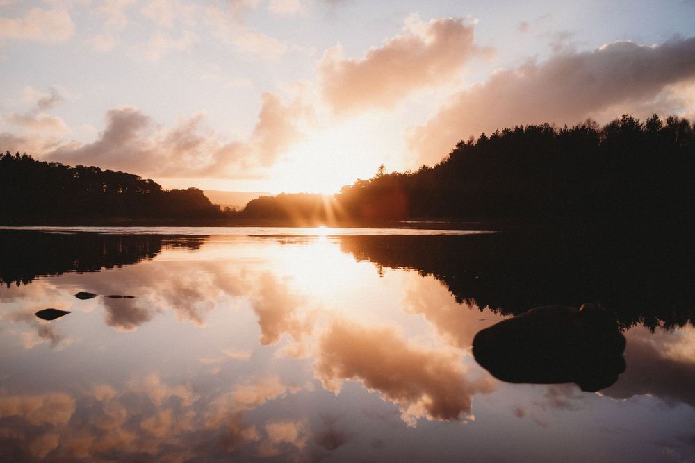 Golden sunset reflecting on a calm lake surrounded by dark silhouetted trees with dramatic clouds in the sky.