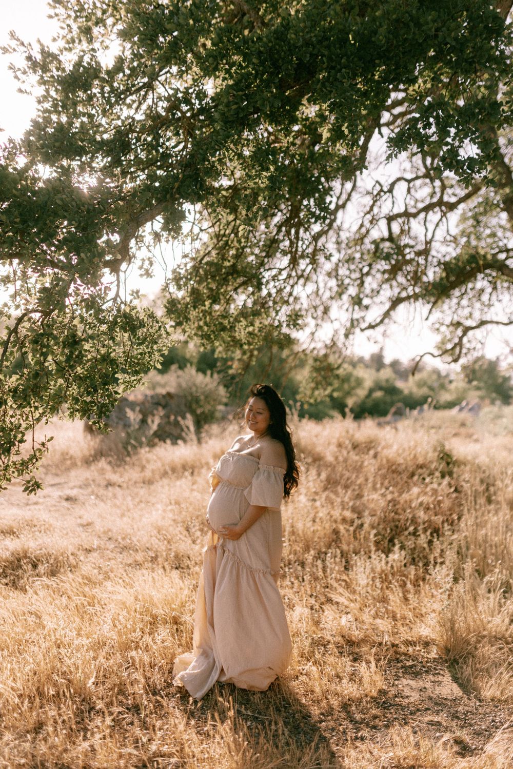 Pregnant woman in blush off-shoulder maxi dress standing in golden field under oak tree at sunset.