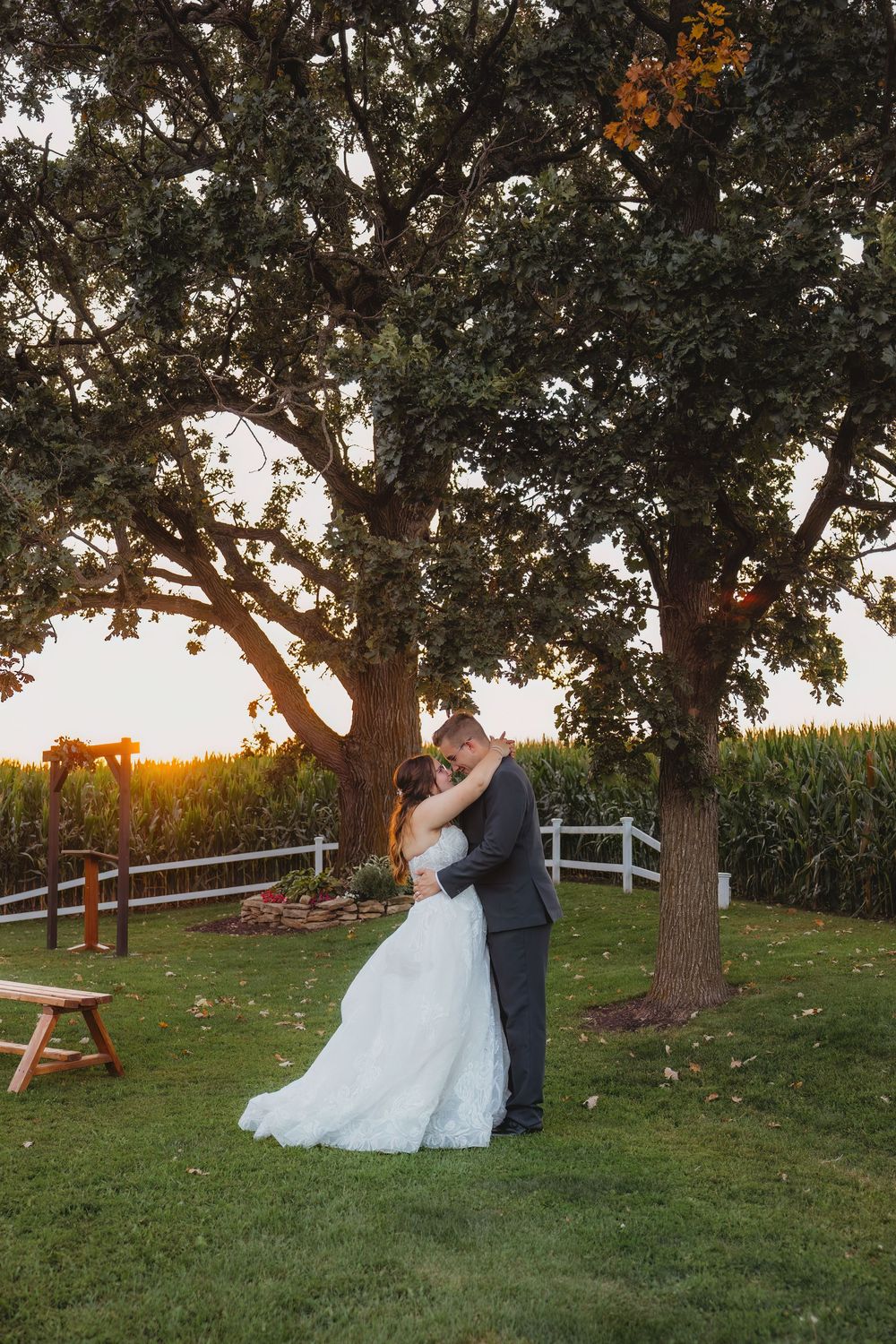 A couple embraces under large trees at sunset with a white fence and cornfield in the background.
