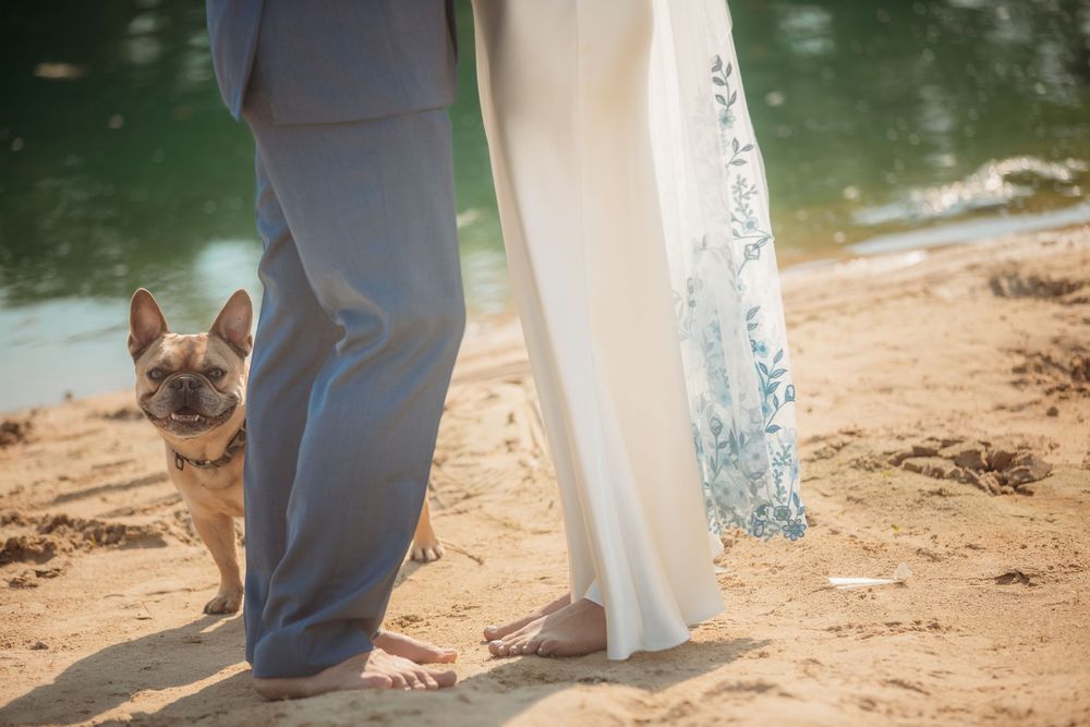 A small brown dog stands between two people in formal attire on a sandy beach near turquoise water.