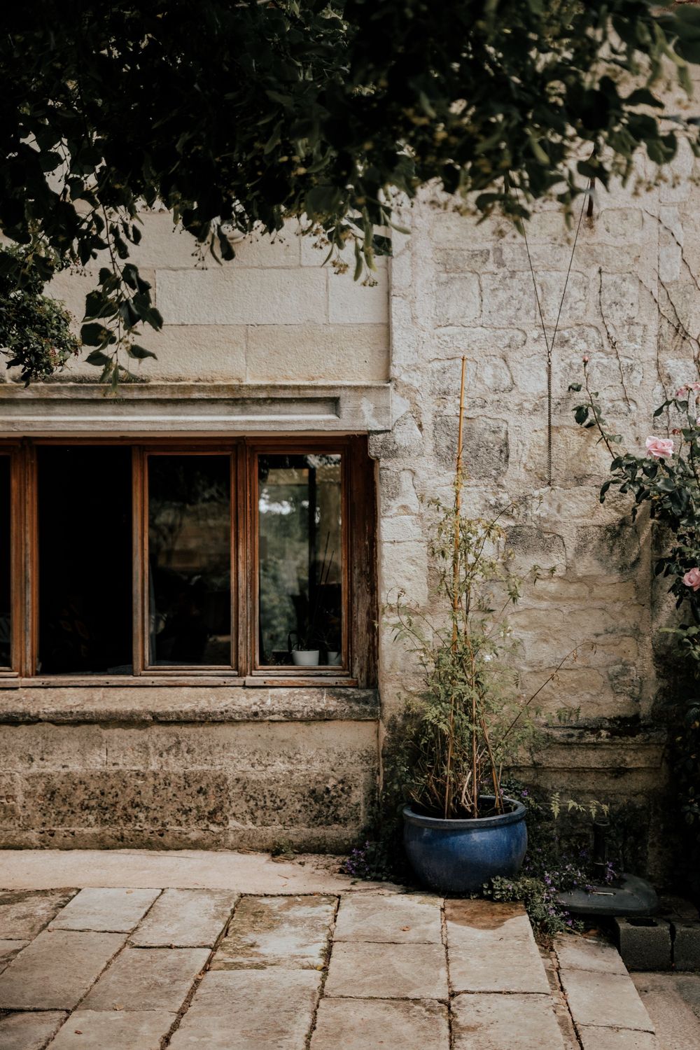 Stone building exterior with wooden window frame and potted plant against textured wall.