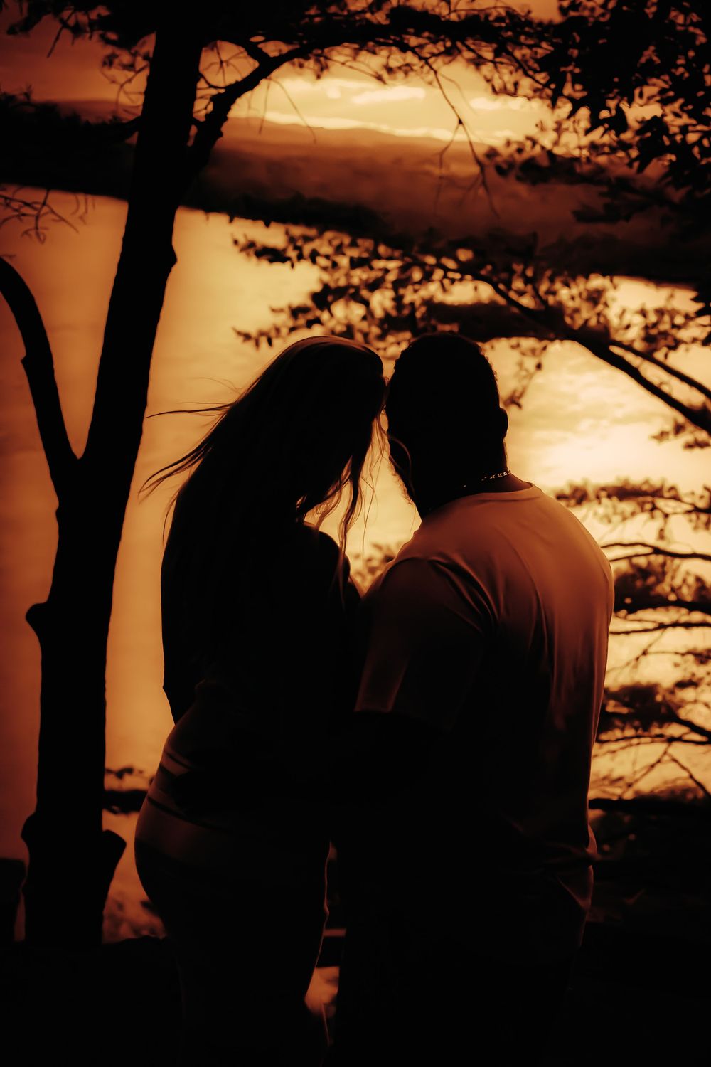 Romantic silhouette of a couple watching sunset through tree branches.