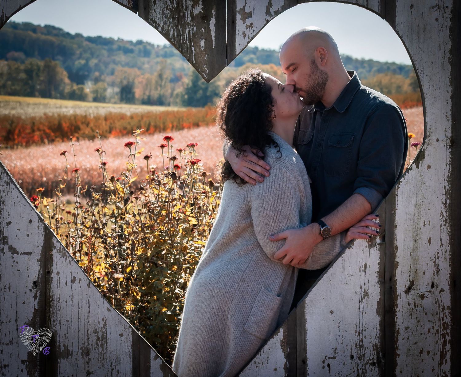 Couple kissing through a heart-shaped fence cutout in a scenic autumn wildflower field.