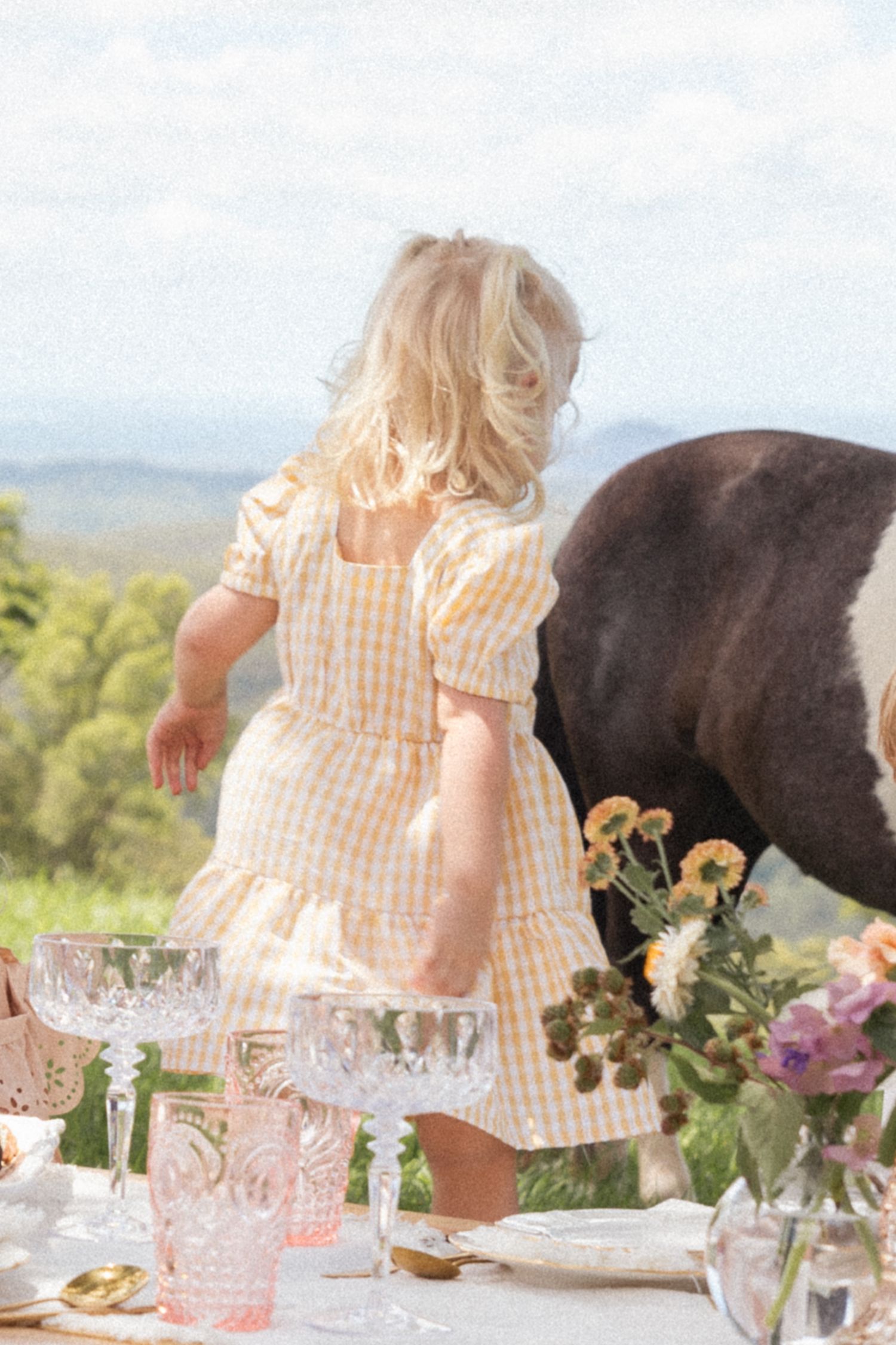 Elegant outdoor table setting with flowers and glassware against mountain backdrop.