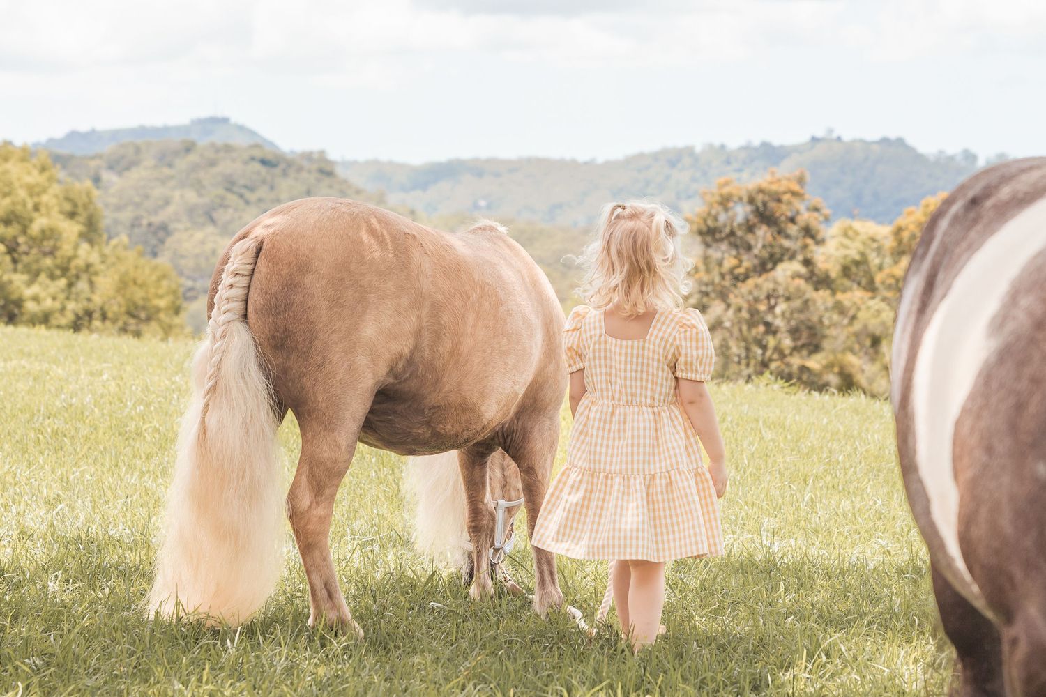 Horses graze peacefully in a sunny meadow while a pink-themed tea party setup awaits in the foreground.