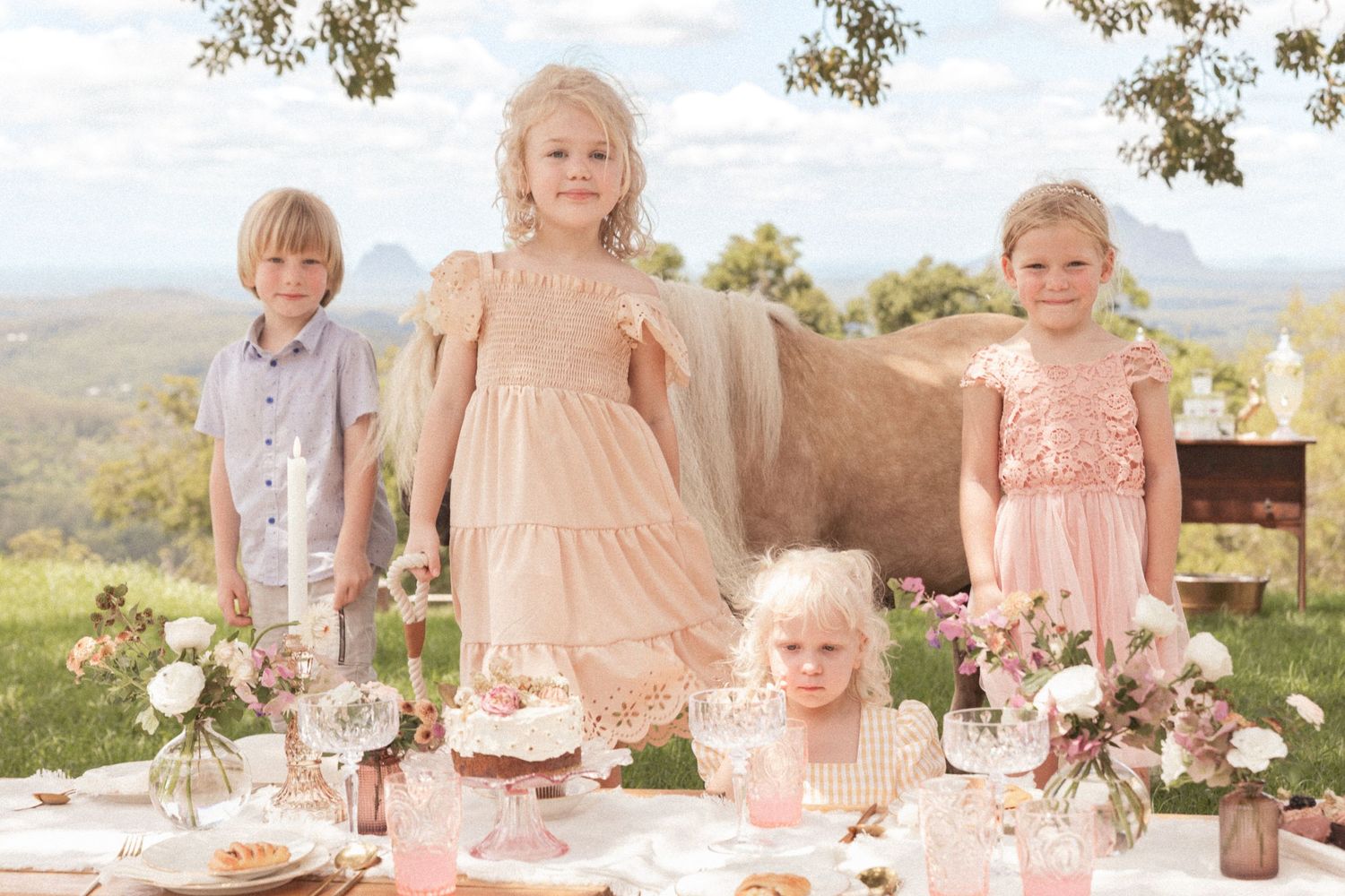 Whimsical outdoor tea party setup with pink florals and rustic decor against a mountain backdrop. Maleny Wedding Venue Sunshine Coast.