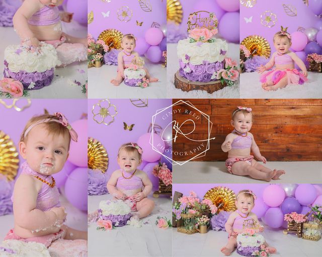 cake smash indoor.  floral butterfly theme.