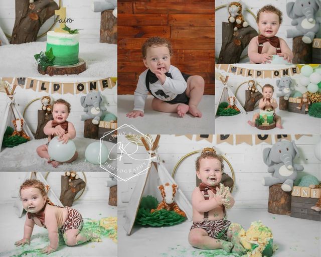 cake smash indoor.  wild one theme.