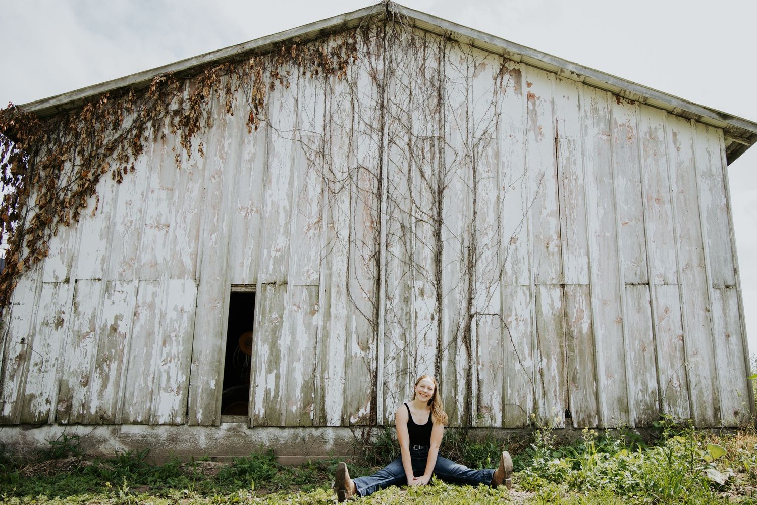 A rustic weathered white barn with vines growing up the wooden siding.