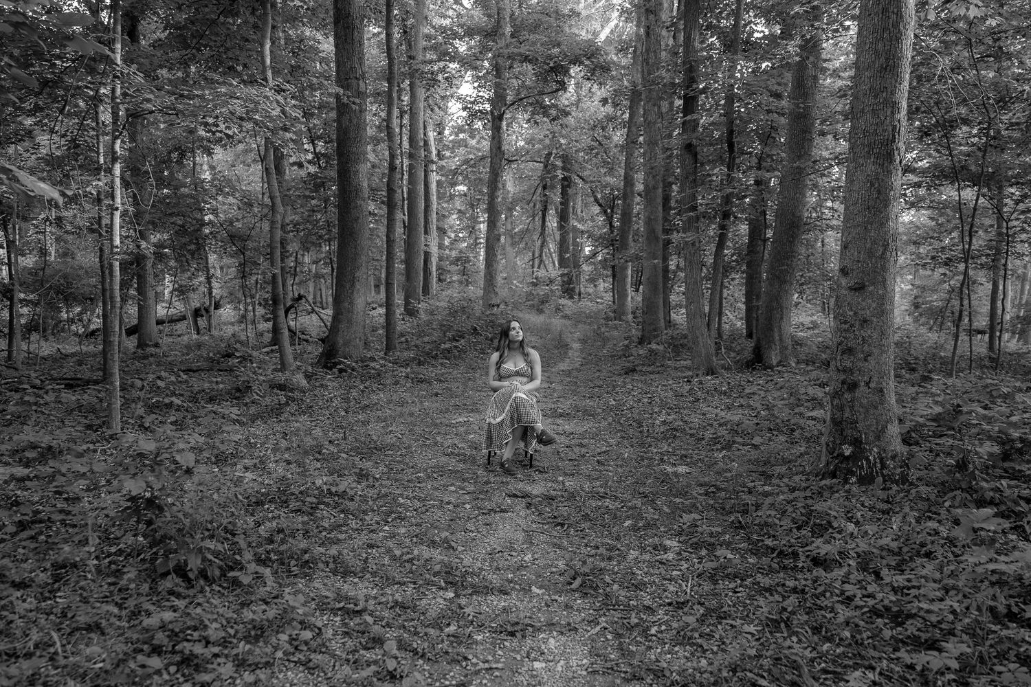 Black and white forest path surrounded by tall trees creates a moody natural atmosphere.