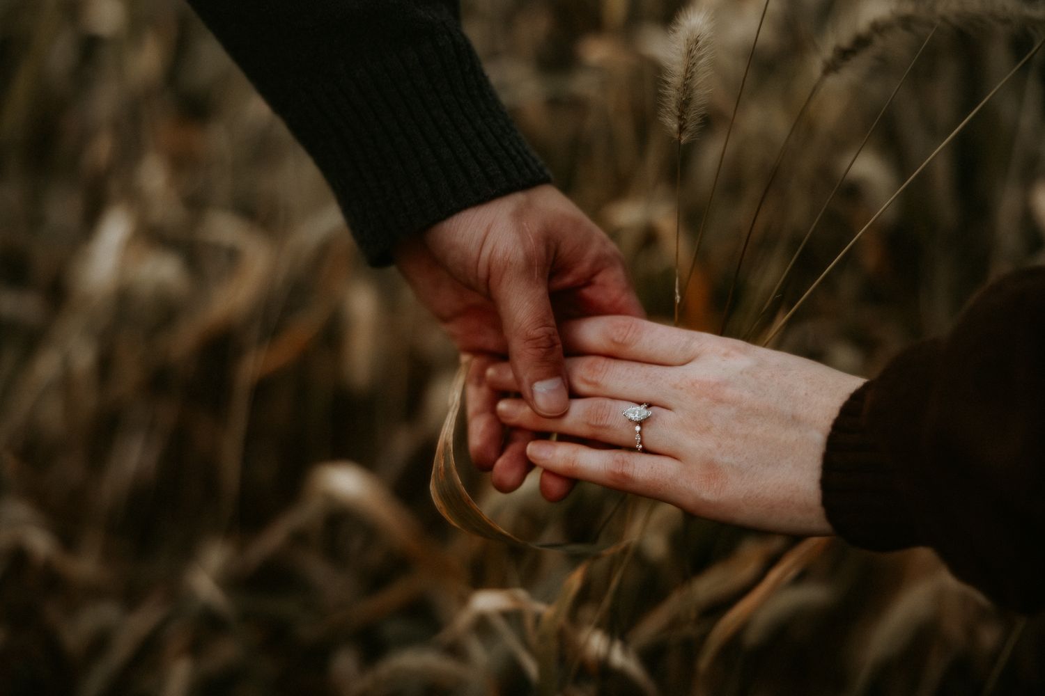 Two hands gently touch and intertwine in a romantic gesture against a dark moody background.