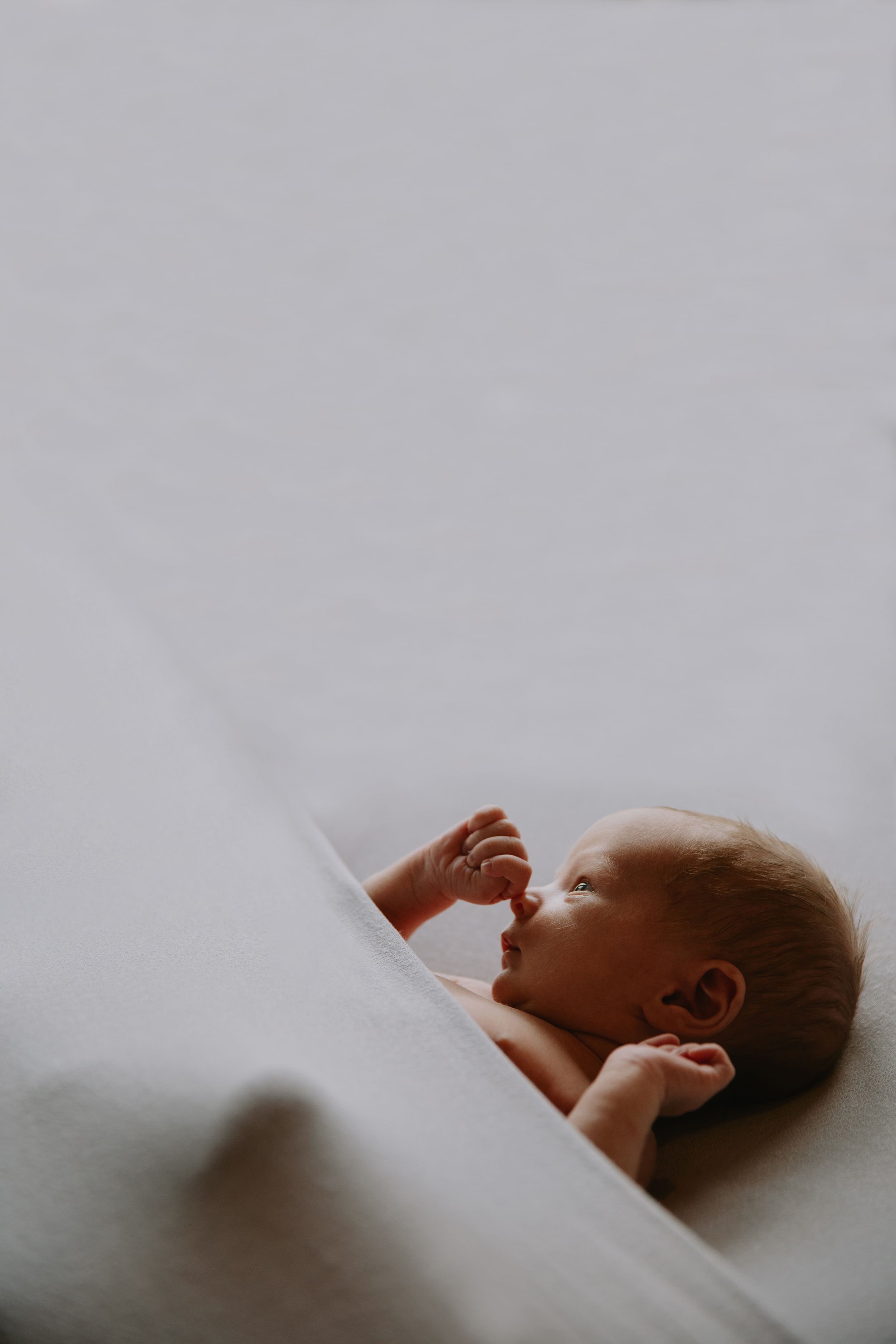 Newborn photographer in nelson tasman motueka