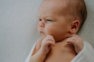 Newborn photographer in nelson tasman motueka