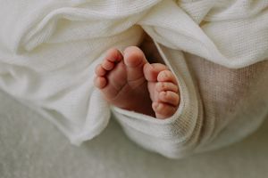 Newborn photographer in nelson tasman motueka