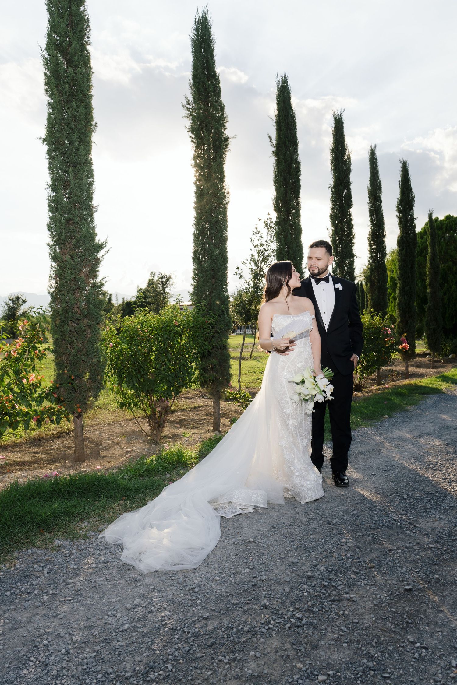 A wedding couple walking along a cypress tree-lined path at a vineyard.
