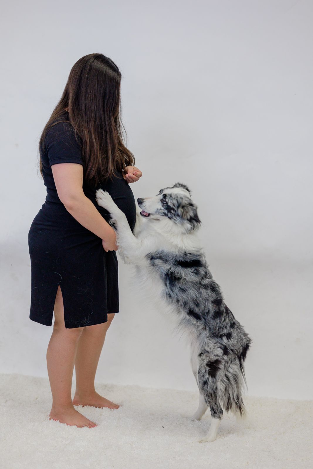 Pregnancy portrait with pup