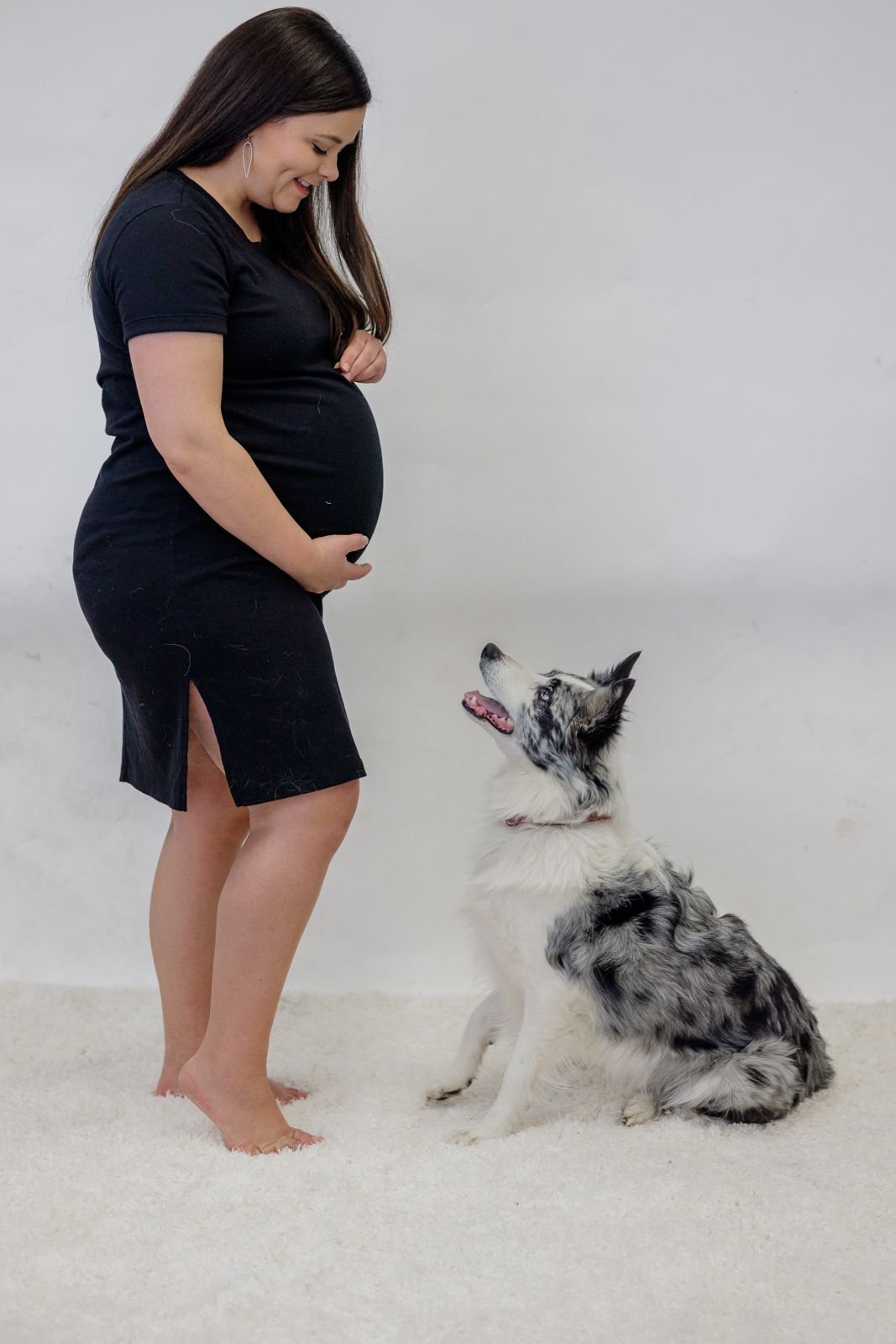 Pregnancy portrait with pup