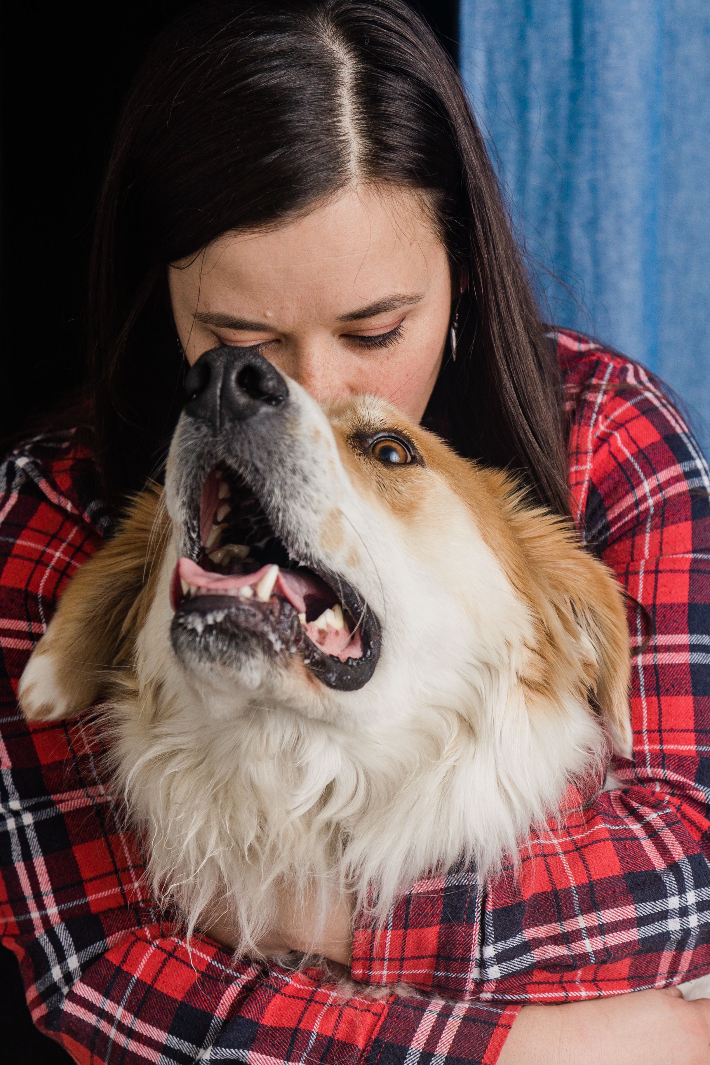 Dog good bye session