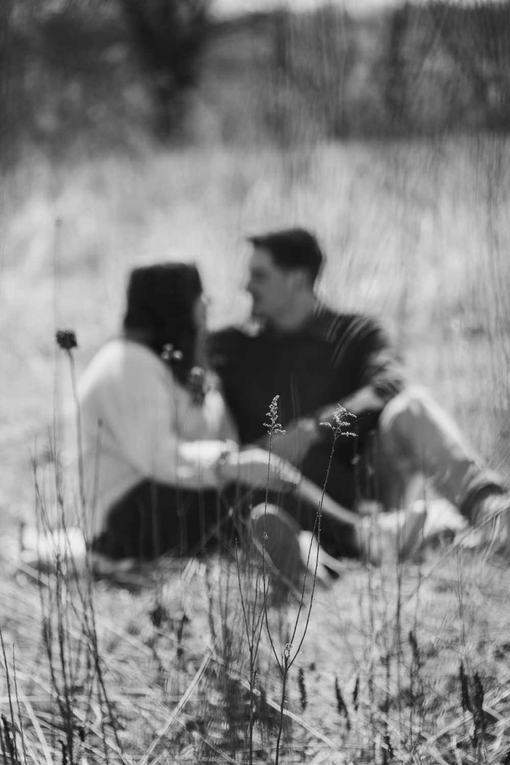 Black and white photo of a couple sitting in a field, surrounded by tall grass, sharing an intimate moment.