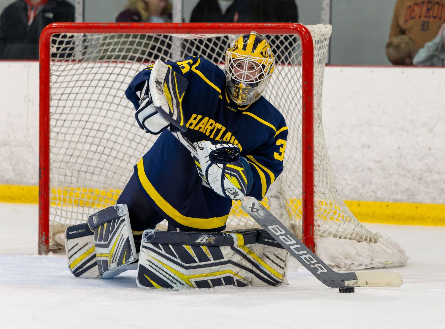 Hockey goalie and teammate defend the net during an ice hockey game.