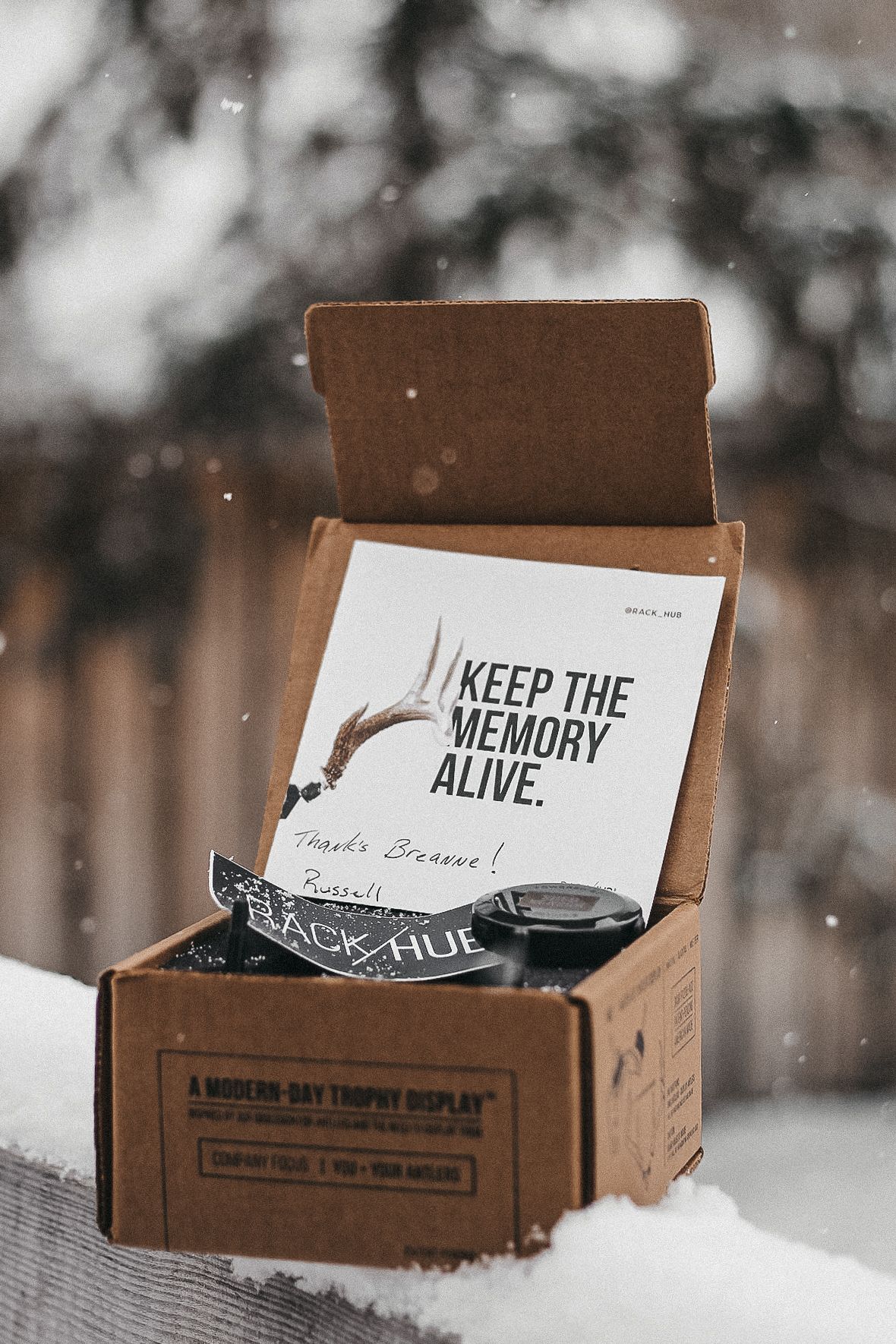 Brown cardboard box with 'Keep the Memory Alive' text in snow.