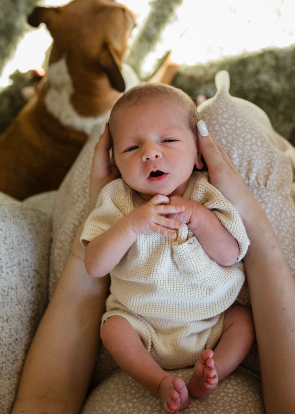 Baby in cream-colored outfit lying on soft surface while yawning and stretching their tiny limbs with dog in the background.