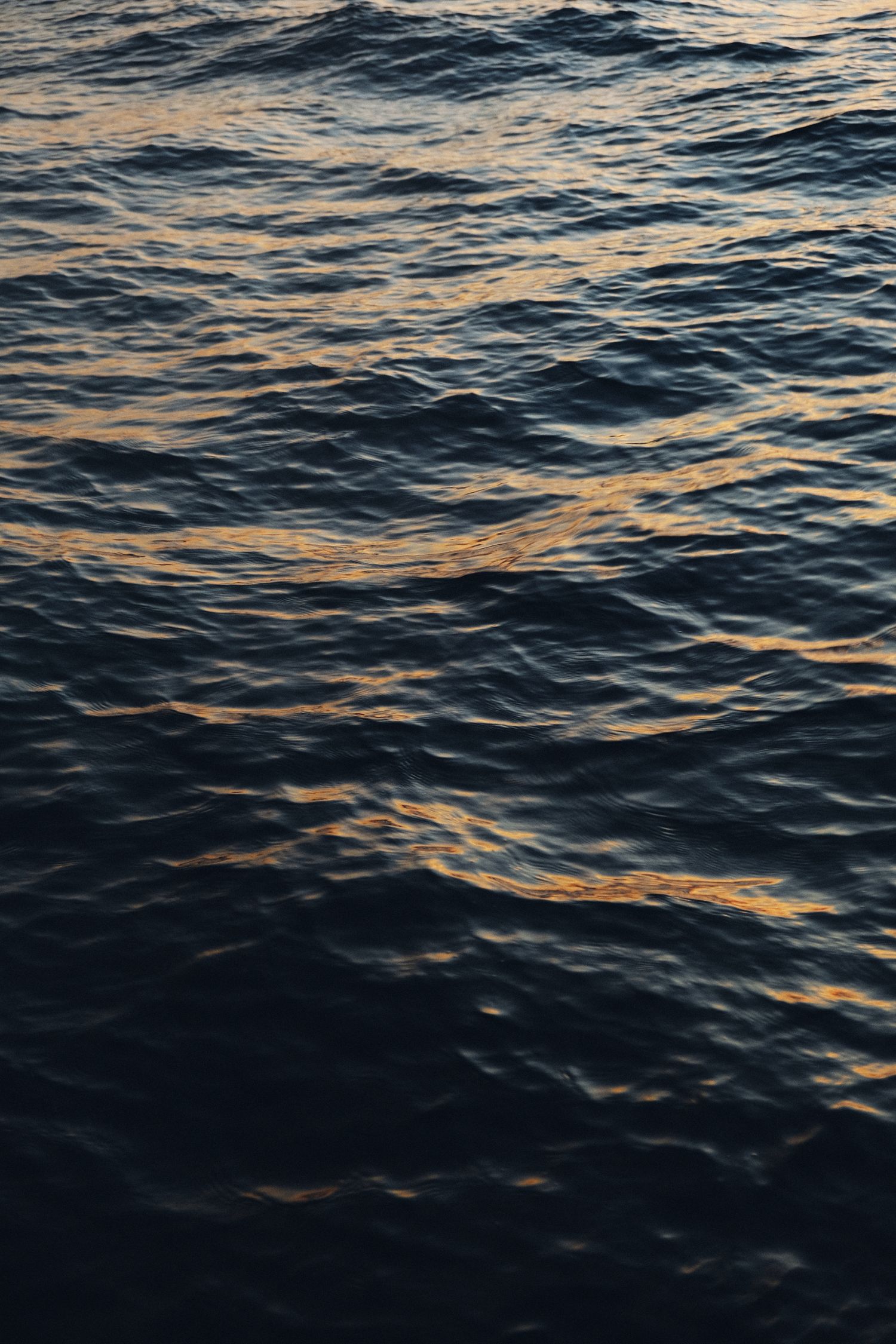 Gentle ocean waves reflecting golden sunlight on dark blue waters at sunset.