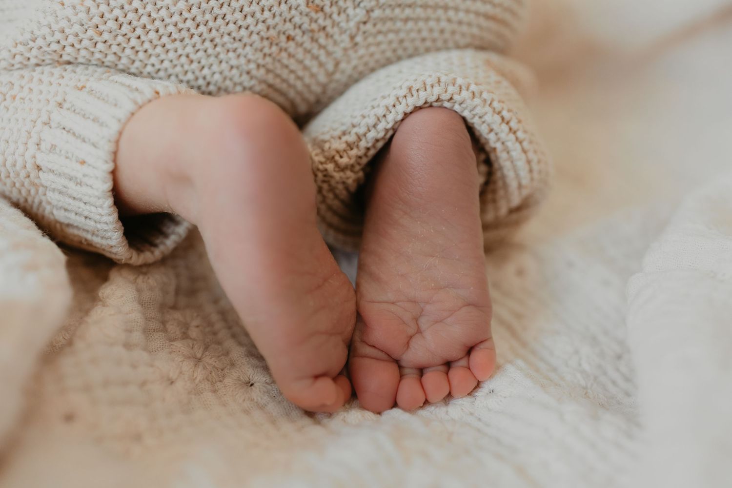 Newbornshoot Drenthe