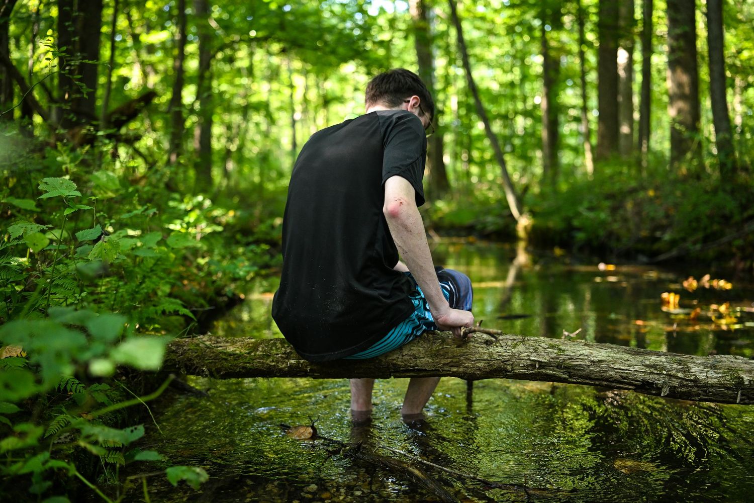 photograph of a boy sitting on a log overhanging a creek facing away from the camera