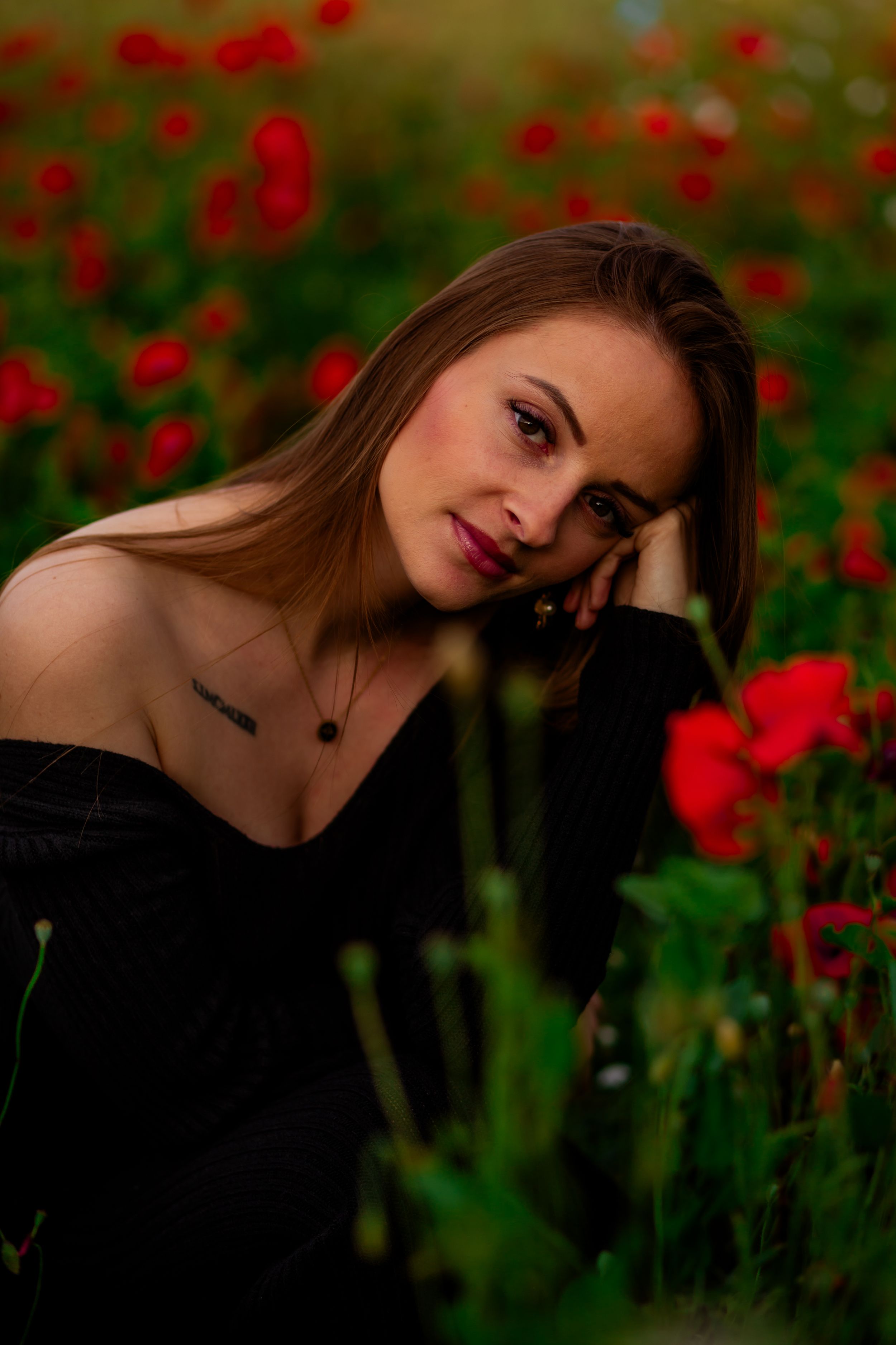 shooting coquelicots rouges