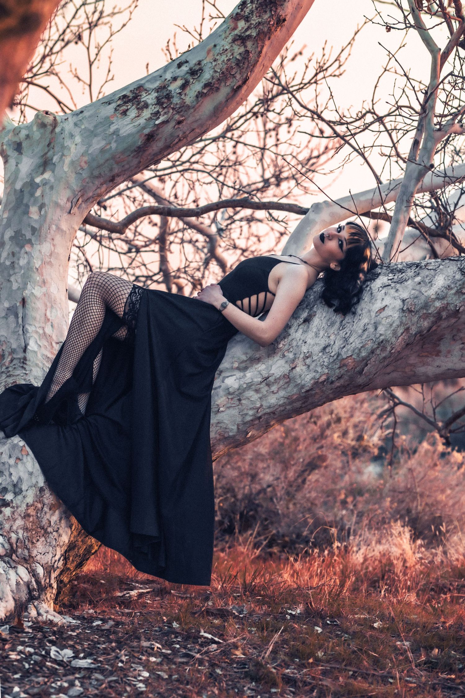 SoCal High Desert Portrait senior portrait photographer