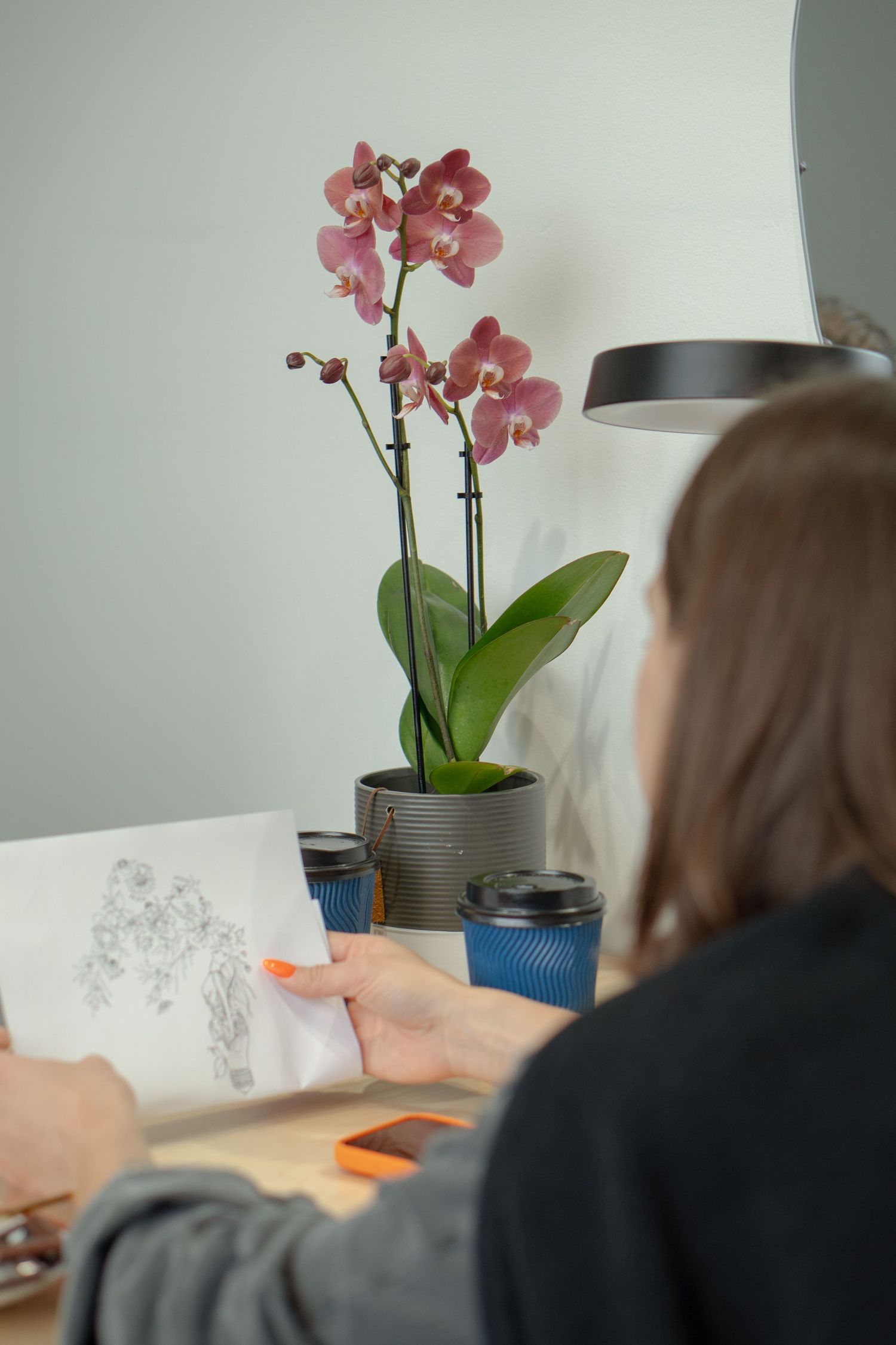 Pink orchid plant in gray pot next to someone sketching on paper.