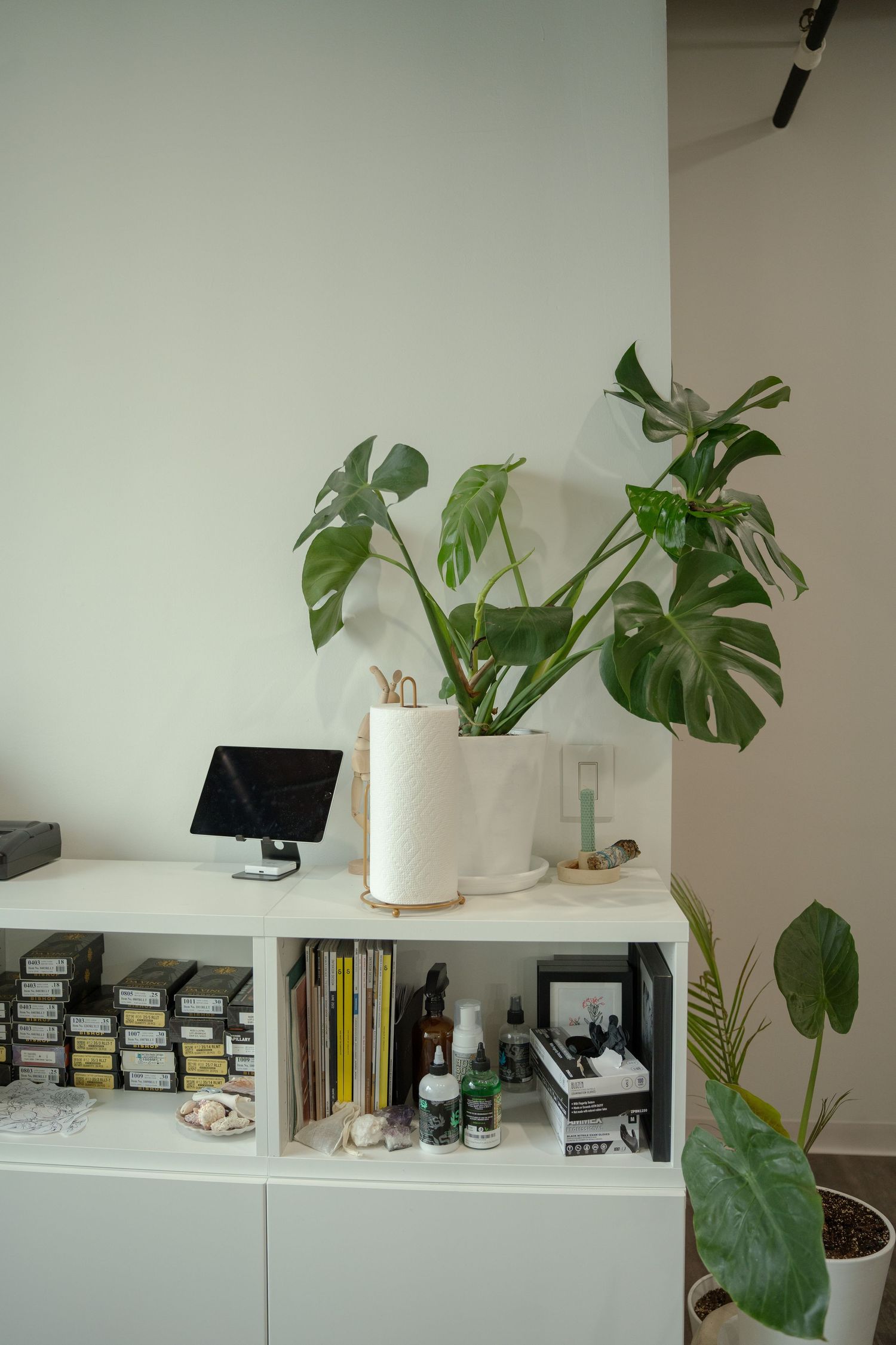 Minimalist white shelf with monstera plant, books and office supplies.
