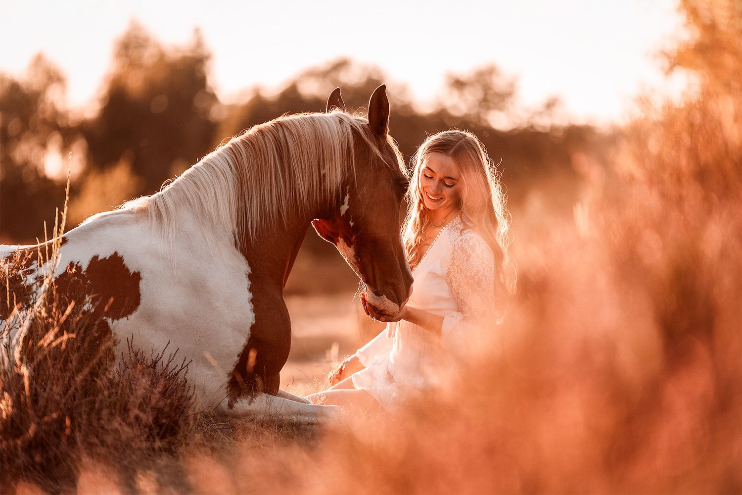 Braun-weiß geschecktes Pferd liegt im Sonnenuntergang in der Heide und blonde junge Frau sitzt daneben