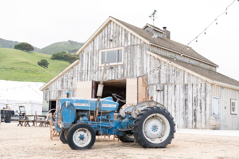 California Vineyard Wedding - Rustique Wines