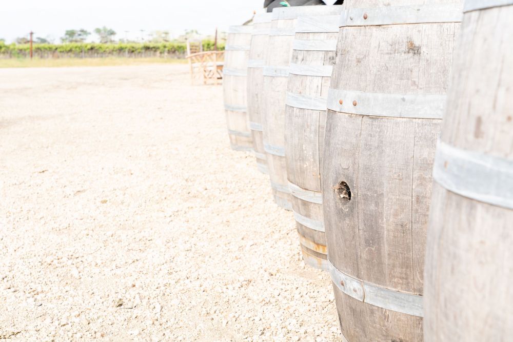 California Vineyard Wedding - Rustique Wines